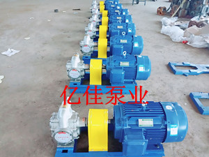 KCB-300全不锈钢齿轮泵8台发货新疆伊宁市